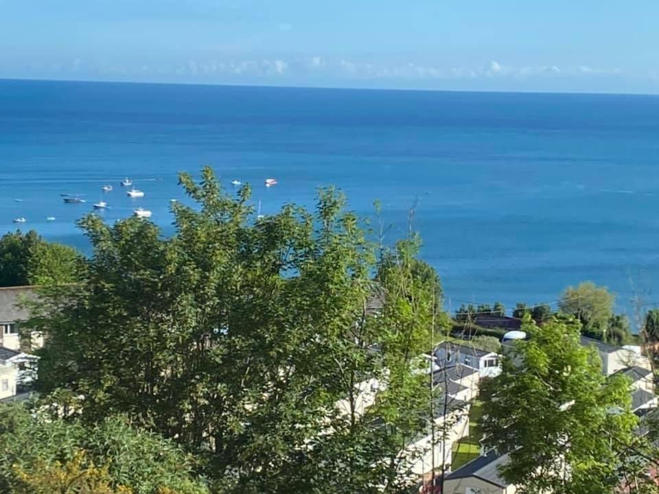 Woodlands Bellevue New Quay (Ceredigion) Zewnętrze zdjęcie